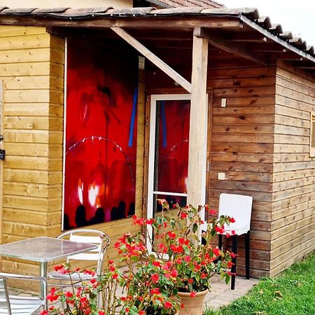 Cabane Cote Jardin Toulouse Ngoại thất bức ảnh